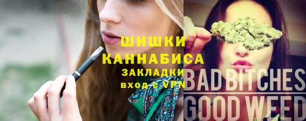 стаф Дмитриев