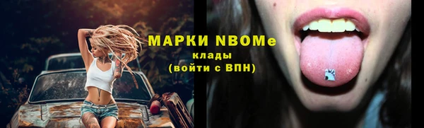 стаф Дмитриев