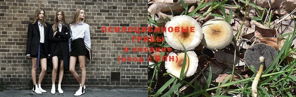 стаф Дмитриев