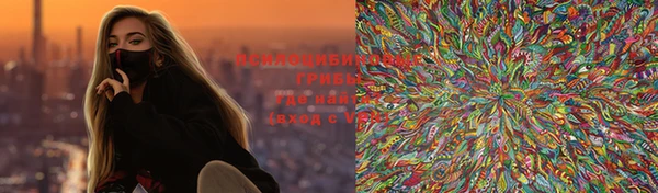 стаф Дмитриев